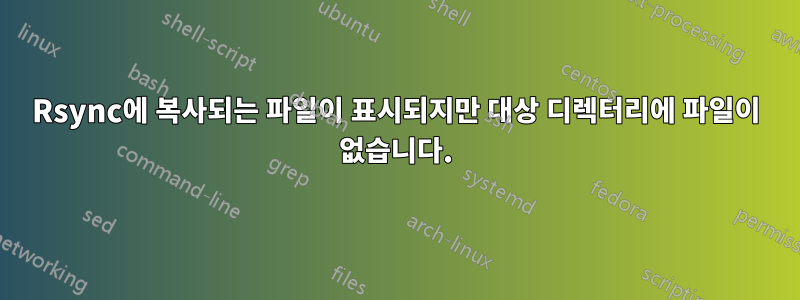 Rsync에 복사되는 파일이 표시되지만 대상 디렉터리에 파일이 없습니다.