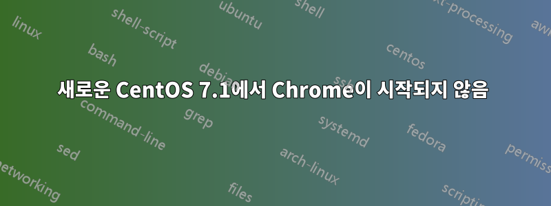 새로운 CentOS 7.1에서 Chrome이 시작되지 않음