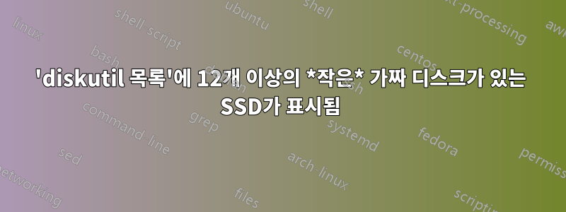 'diskutil 목록'에 12개 이상의 *작은* 가짜 디스크가 있는 SSD가 표시됨