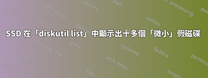 SSD 在「diskutil list」中顯示出十多個「微小」假磁碟