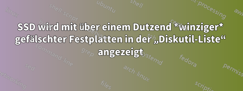 SSD wird mit über einem Dutzend *winziger* gefälschter Festplatten in der „Diskutil-Liste“ angezeigt