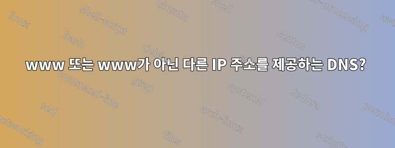 www 또는 www가 아닌 ​​다른 IP 주소를 제공하는 DNS?