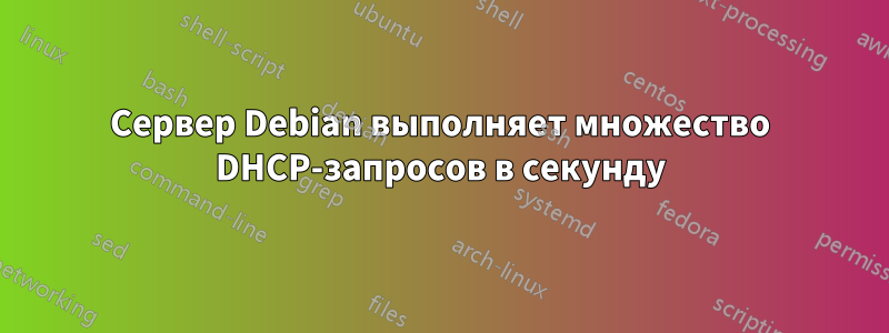 Сервер Debian выполняет множество DHCP-запросов в секунду
