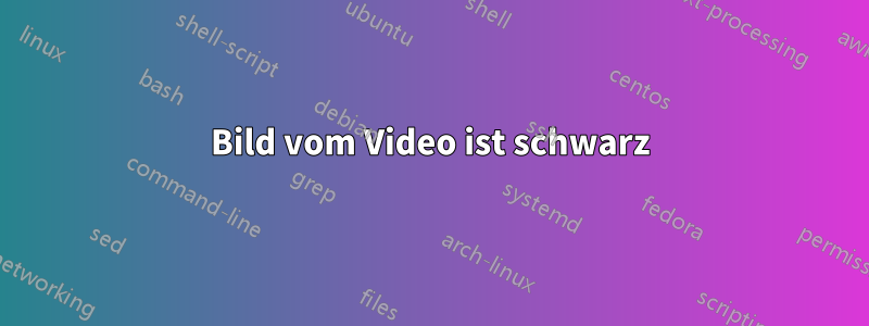 Bild vom Video ist schwarz