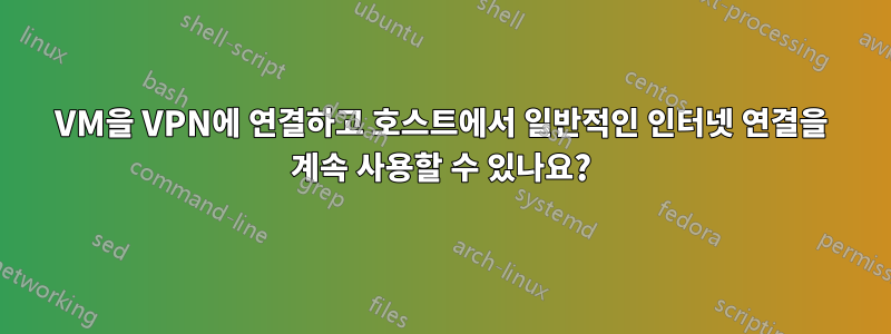 VM을 VPN에 연결하고 호스트에서 일반적인 인터넷 연결을 계속 사용할 수 있나요?