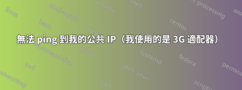 無法 ping 到我的公共 IP（我使用的是 3G 適配器）