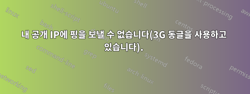 내 공개 IP에 핑을 보낼 수 없습니다(3G 동글을 사용하고 있습니다).