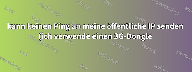 kann keinen Ping an meine öffentliche IP senden (ich verwende einen 3G-Dongle)