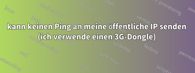 kann keinen Ping an meine öffentliche IP senden (ich verwende einen 3G-Dongle)