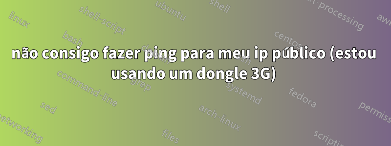 não consigo fazer ping para meu ip público (estou usando um dongle 3G)