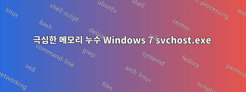 극심한 메모리 누수 Windows 7 svchost.exe