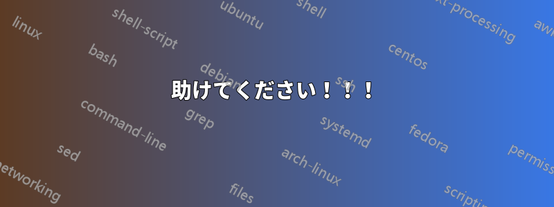 助けてください！！！