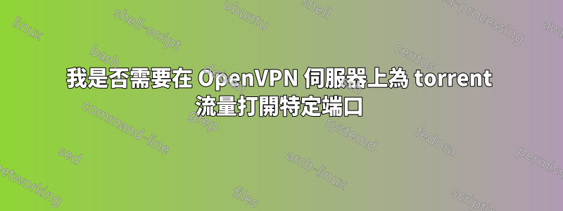 我是否需要在 OpenVPN 伺服器上為 torrent 流量打開特定端口