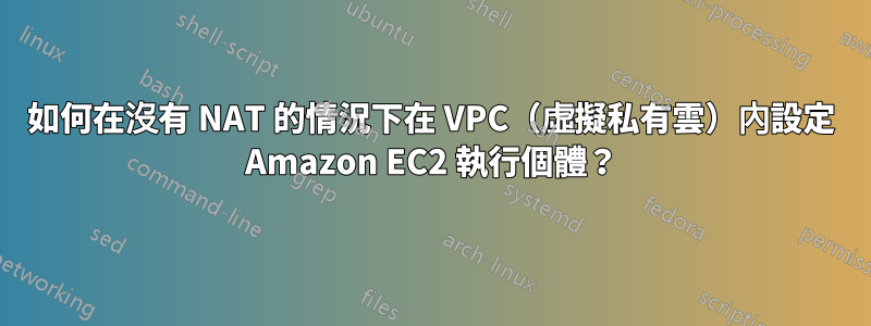 如何在沒有 NAT 的情況下在 VPC（虛擬私有雲）內設定 Amazon EC2 執行個體？