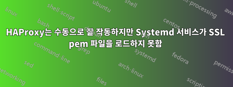 HAProxy는 수동으로 잘 작동하지만 Systemd 서비스가 SSL pem 파일을 로드하지 못함