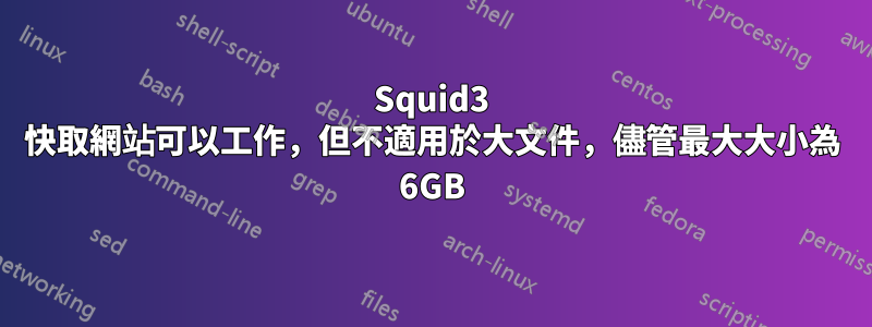 Squid3 快取網站可以工作，但不適用於大文件，儘管最大大小為 6GB