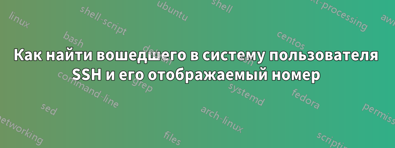 Как найти вошедшего в систему пользователя SSH и его отображаемый номер