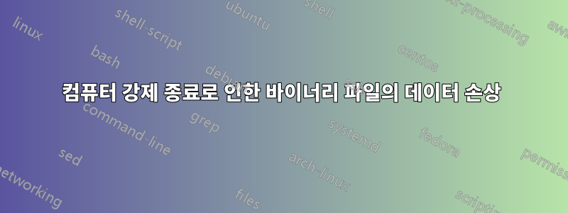 컴퓨터 강제 종료로 인한 바이너리 파일의 데이터 손상