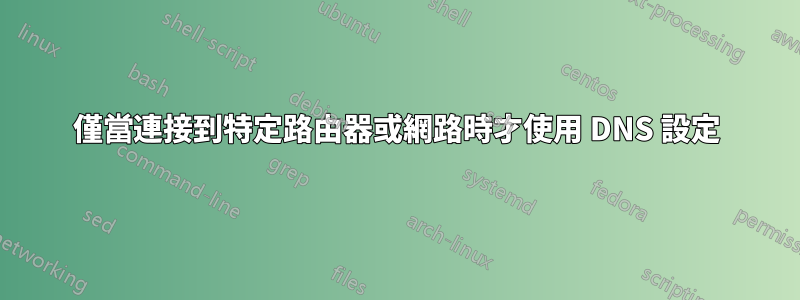 僅當連接到特定路由器或網路時才使用 DNS 設定