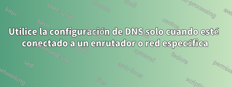 Utilice la configuración de DNS solo cuando esté conectado a un enrutador o red específica