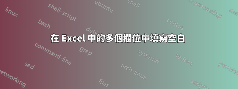 在 Excel 中的多個欄位中填寫空白