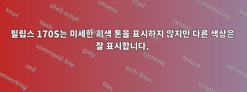 필립스 170S는 미세한 회색 톤을 표시하지 않지만 다른 색상은 잘 표시합니다.