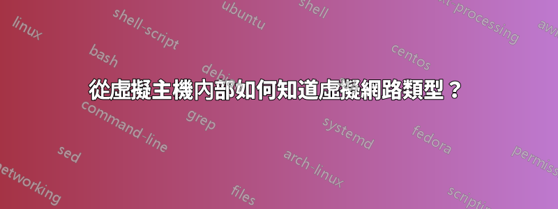 從虛擬主機內部如何知道虛擬網路類型？