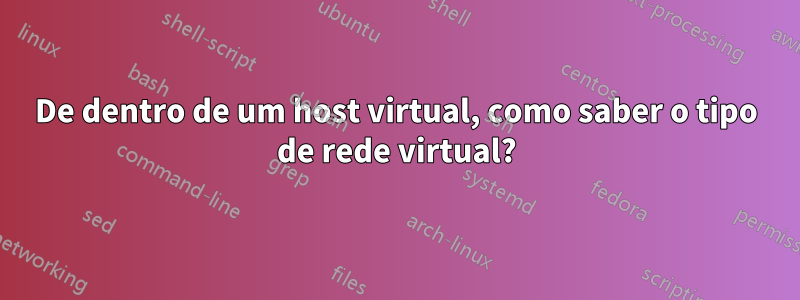 De dentro de um host virtual, como saber o tipo de rede virtual?