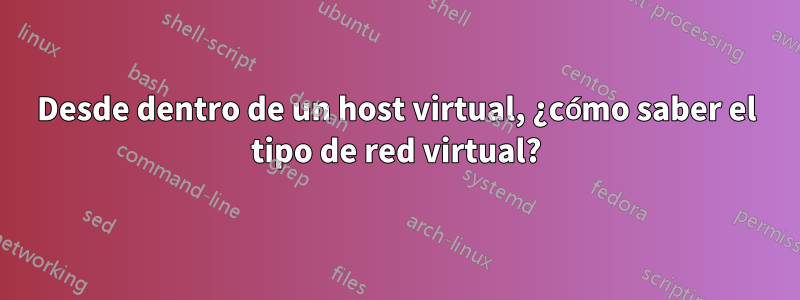 Desde dentro de un host virtual, ¿cómo saber el tipo de red virtual?