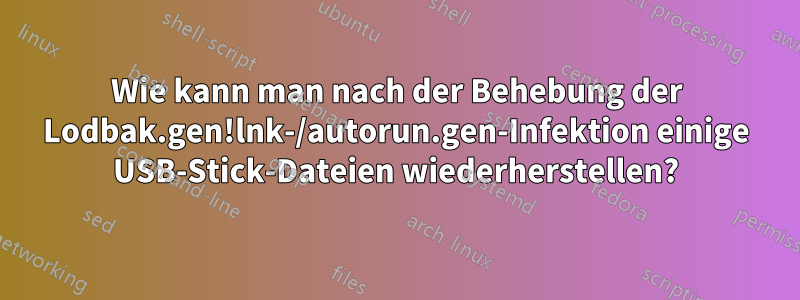 Wie kann man nach der Behebung der Lodbak.gen!lnk-/autorun.gen-Infektion einige USB-Stick-Dateien wiederherstellen?