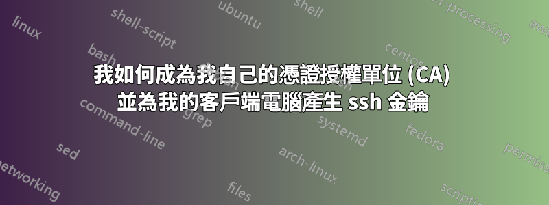 我如何成為我自己的憑證授權單位 (CA) 並為我的客戶端電腦產生 ssh 金鑰