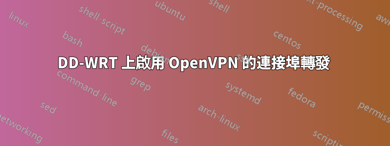 DD-WRT 上啟用 OpenVPN 的連接埠轉發