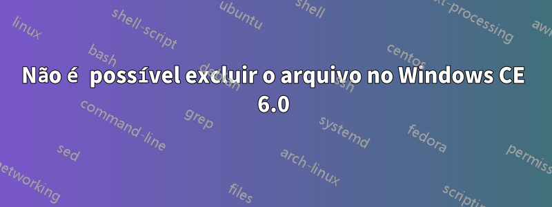 Não é possível excluir o arquivo no Windows CE 6.0