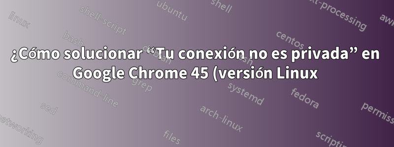 ¿Cómo solucionar “Tu conexión no es privada” en Google Chrome 45 (versión Linux)?