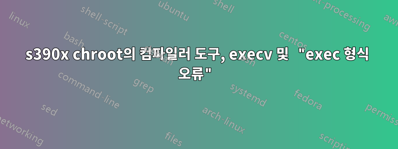 s390x chroot의 컴파일러 도구, execv 및 "exec 형식 오류"