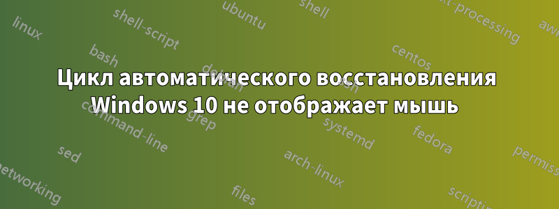 Цикл автоматического восстановления Windows 10 не отображает мышь 