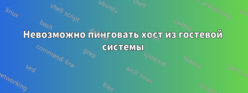 Невозможно пинговать хост из гостевой системы