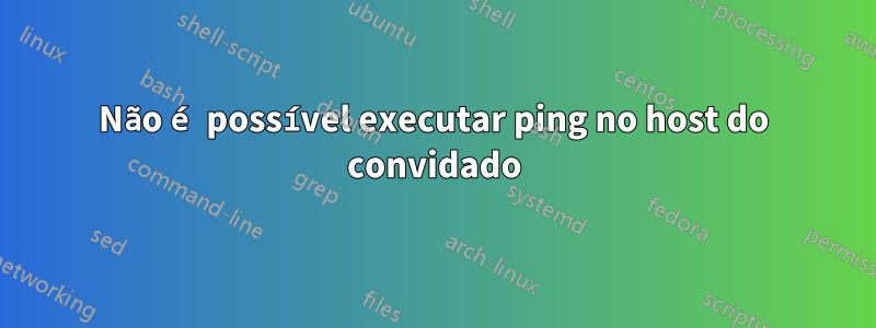 Não é possível executar ping no host do convidado