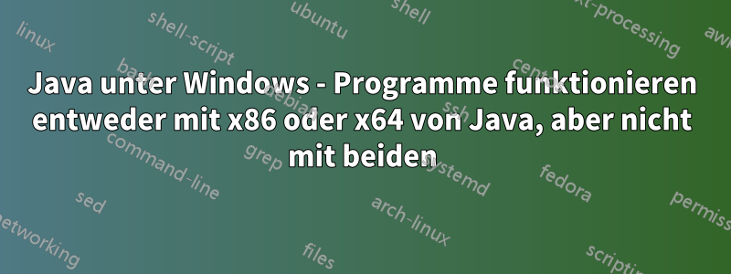 Java unter Windows - Programme funktionieren entweder mit x86 oder x64 von Java, aber nicht mit beiden