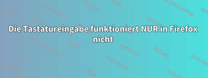 Die Tastatureingabe funktioniert NUR in Firefox nicht