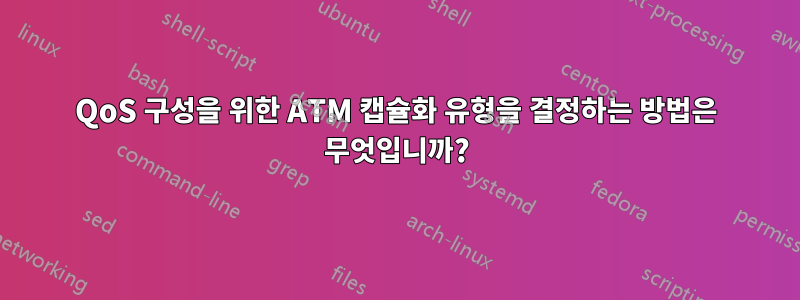 QoS 구성을 위한 ATM 캡슐화 유형을 결정하는 방법은 무엇입니까?