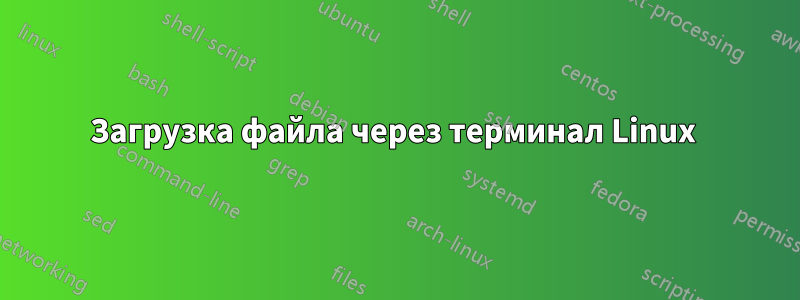 Загрузка файла через терминал Linux 