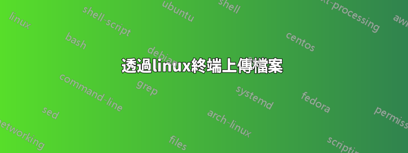 透過linux終端上傳檔案