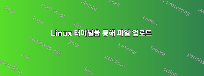 Linux 터미널을 통해 파일 업로드