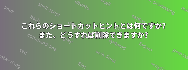 これらのショートカットヒントとは何ですか? また、どうすれば削除できますか?