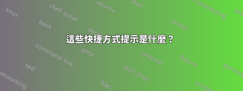 這些快捷方式提示是什麼？