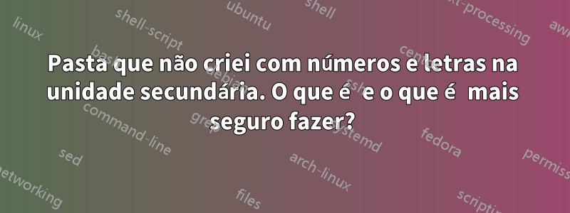 Pasta que não criei com números e letras na unidade secundária. O que é e o que é mais seguro fazer?