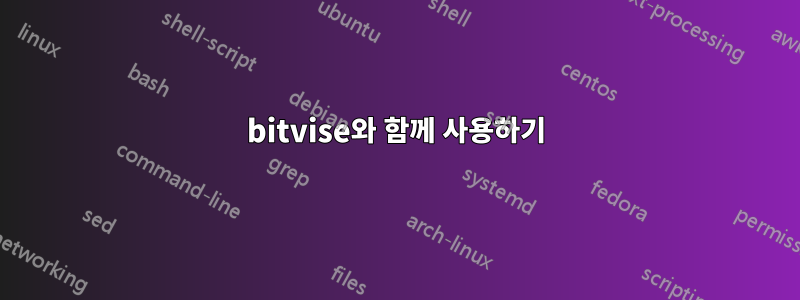 bitvise와 함께 사용하기