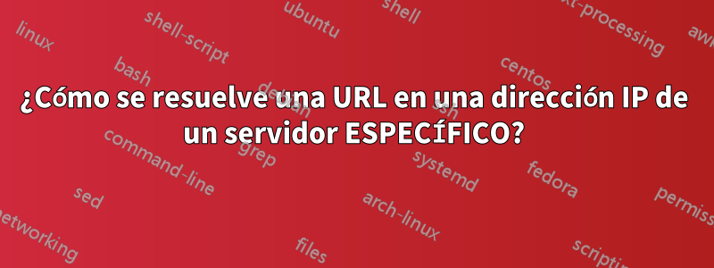 ¿Cómo se resuelve una URL en una dirección IP de un servidor ESPECÍFICO?