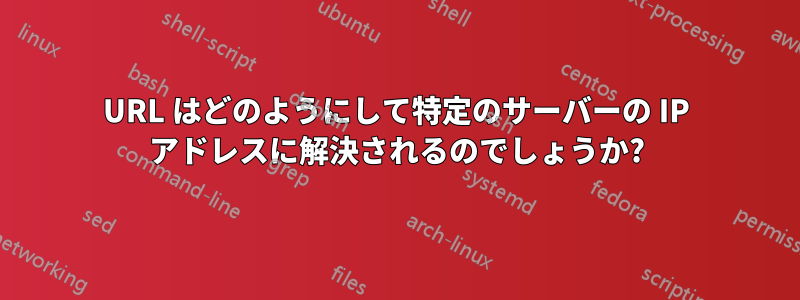 URL はどのようにして特定のサーバーの IP アドレスに解決されるのでしょうか?